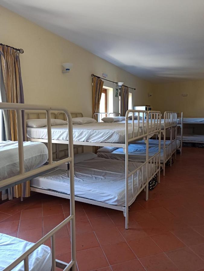 Albergue De Sos del Rey Católico Buitenkant foto